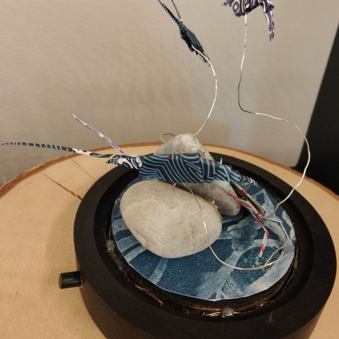 cloche lumineuse crabe et crevettes