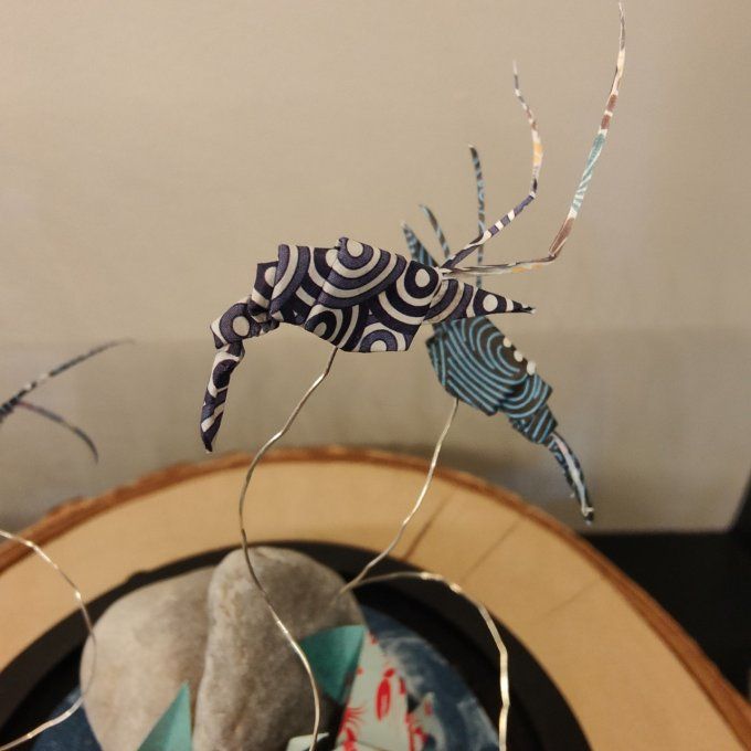 cloche lumineuse crabe et crevettes